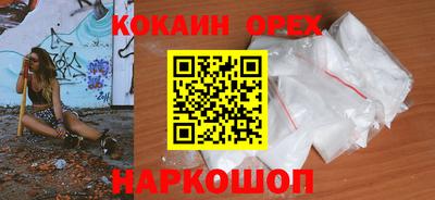 крисы Ливны