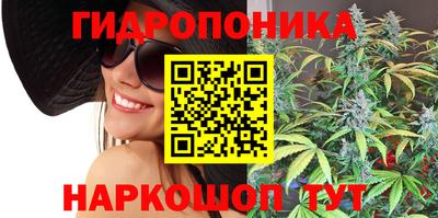 крисы Ливны