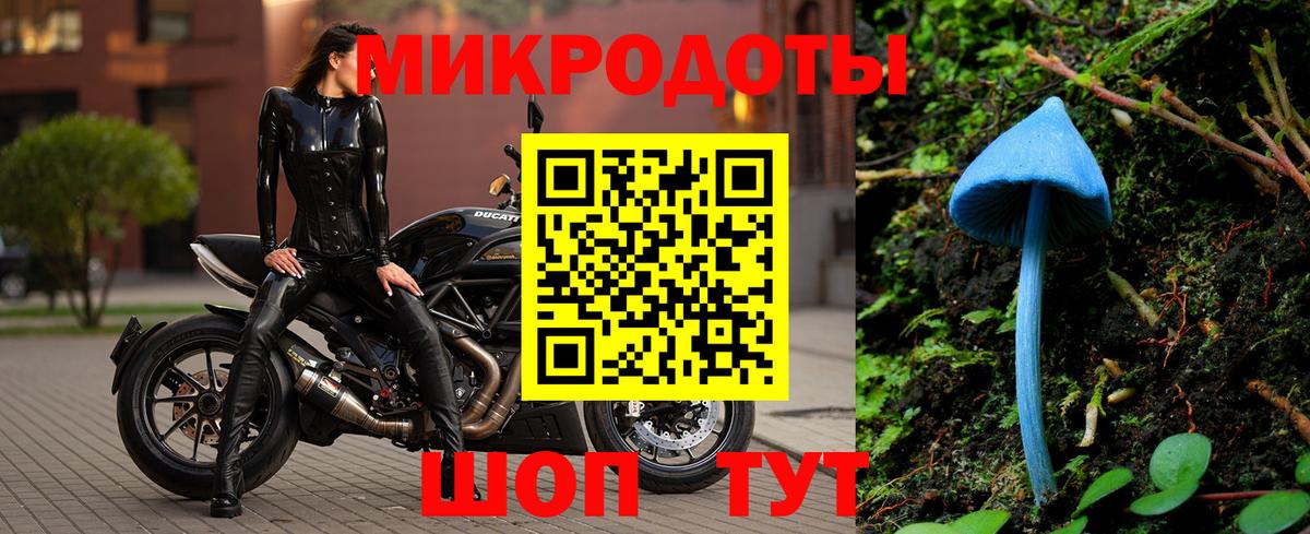 Галлюциногенные грибы прущие грибы Ессентуки