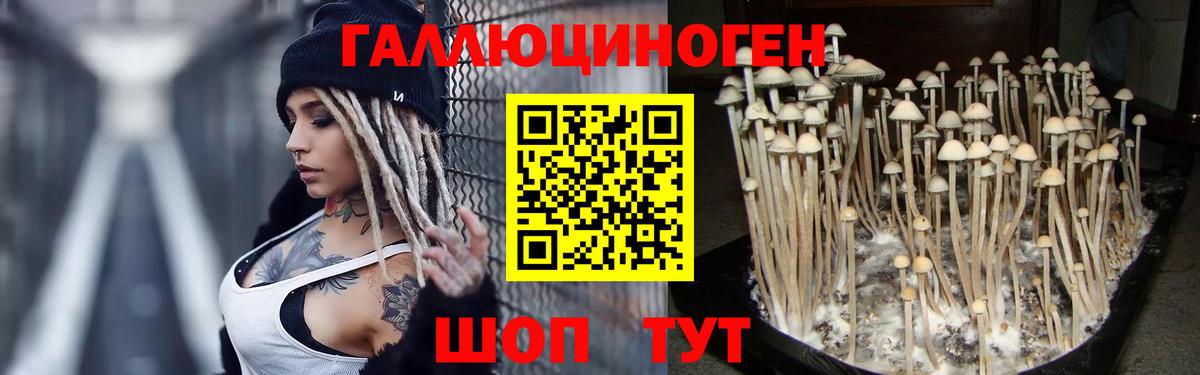 Псилоцибиновые грибы ЛСД  Вход с VPN  Ессентуки  Галлюциногенные грибы мухоморы 